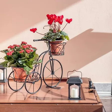 Meandros With Garden View Appartement *