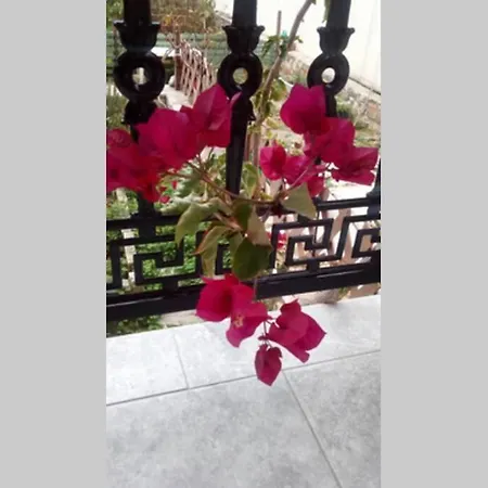 Meandros With Garden View *