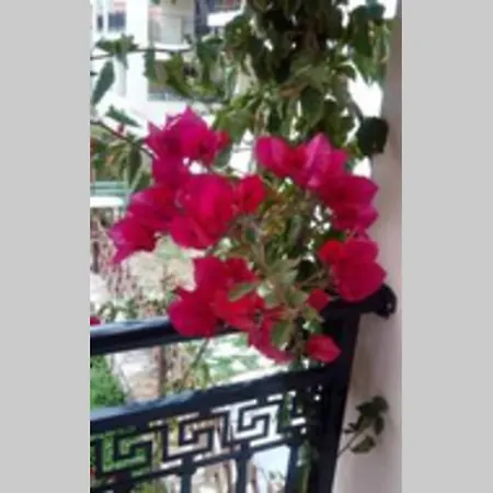 Apartment Meandros Garden View